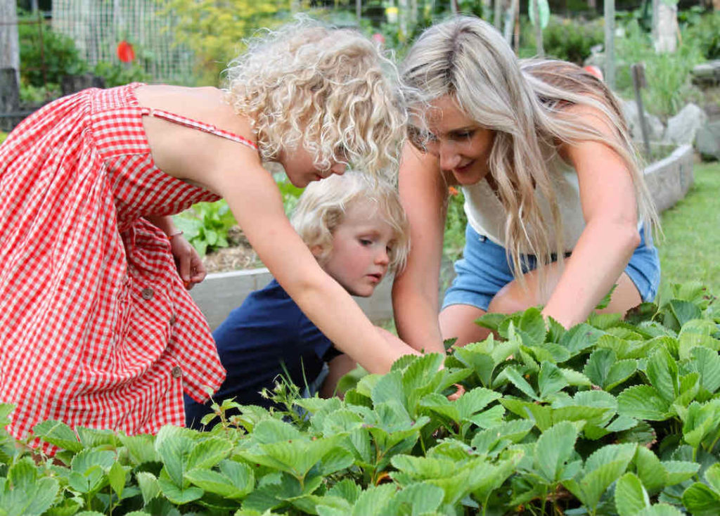 Alana_Krahe_picking_strawberries